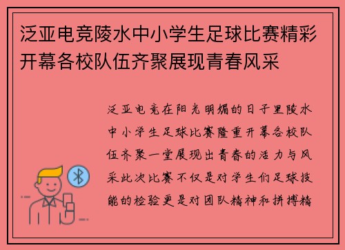 泛亚电竞陵水中小学生足球比赛精彩开幕各校队伍齐聚展现青春风采