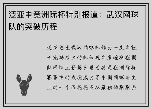泛亚电竞洲际杯特别报道：武汉网球队的突破历程