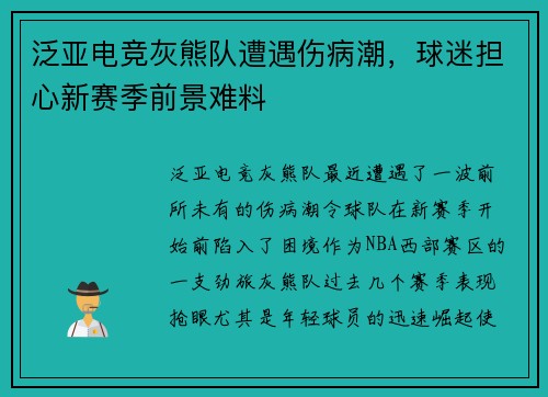 泛亚电竞灰熊队遭遇伤病潮，球迷担心新赛季前景难料