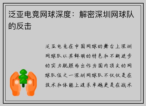泛亚电竞网球深度：解密深圳网球队的反击